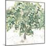 Country Tree II-June Vess-Mounted Art Print