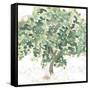 Country Tree II-June Vess-Framed Stretched Canvas