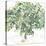 Country Tree II-June Vess-Stretched Canvas