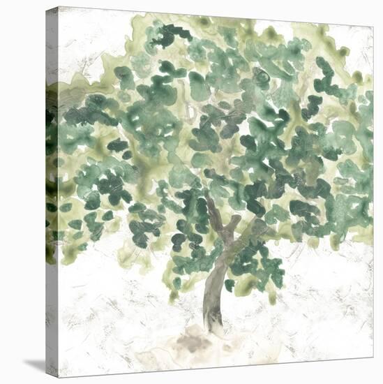 Country Tree II-June Vess-Stretched Canvas