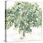 Country Tree II-June Vess-Stretched Canvas