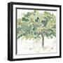 Country Tree IV-June Vess-Framed Art Print