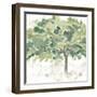 Country Tree IV-June Vess-Framed Art Print