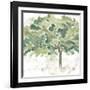 Country Tree IV-June Vess-Framed Art Print