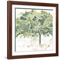 Country Tree IV-June Vess-Framed Art Print