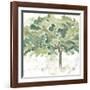 Country Tree IV-June Vess-Framed Art Print