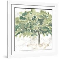 Country Tree IV-June Vess-Framed Art Print