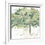 Country Tree IV-June Vess-Framed Art Print