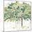 Country Tree IV-June Vess-Mounted Art Print