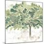 Country Tree IV-June Vess-Mounted Art Print