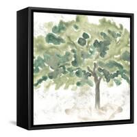 Country Tree IV-June Vess-Framed Stretched Canvas