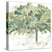 Country Tree IV-June Vess-Stretched Canvas