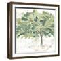 Country Tree IV-June Vess-Framed Art Print