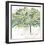 Country Tree IV-June Vess-Framed Art Print