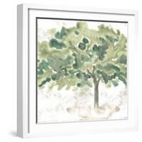 Country Tree IV-June Vess-Framed Art Print