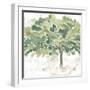 Country Tree IV-June Vess-Framed Art Print