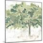 Country Tree IV-June Vess-Mounted Art Print