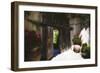 Country Villa Gate, Ravello, Italy-George Oze-Framed Photographic Print