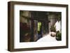 Country Villa Gate, Ravello, Italy-George Oze-Framed Photographic Print