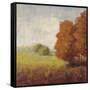Country Vista-Jill Schultz McGannon-Framed Stretched Canvas