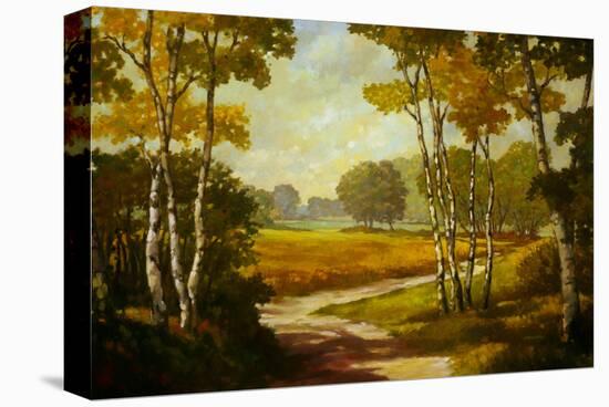 Country Walk I-Graham Reynolds-Stretched Canvas