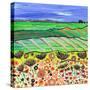 Country Ways-Caroline Duncan-Stretched Canvas