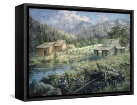 Country-Nicky Boehme-Framed Stretched Canvas