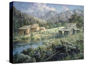 Country-Nicky Boehme-Stretched Canvas