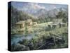 Country-Nicky Boehme-Stretched Canvas