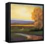 COUNTRY-null-Framed Stretched Canvas