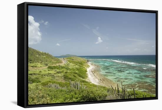 Countryside and Ocean on St. Croix-Macduff Everton-Framed Stretched Canvas