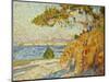 Countryside at Noon-Théo van Rysselberghe-Mounted Giclee Print