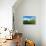 Countryside Cottage-Cherie Roe Dirksen-Giclee Print displayed on a wall