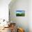 Countryside Cottage-Cherie Roe Dirksen-Mounted Giclee Print displayed on a wall