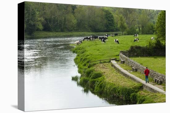 Countryside, County Kilkenny, Leinster, Republic of Ireland (Eire), Europe-Nico Tondini-Stretched Canvas