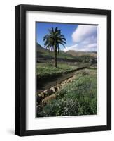 Countryside, Haria, Lanzarote, Canary Islands, Spain-D H Webster-Framed Photographic Print