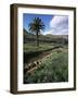 Countryside, Haria, Lanzarote, Canary Islands, Spain-D H Webster-Framed Photographic Print