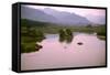 Countryside in Guizhou Province China.-Nancy Brown-Framed Stretched Canvas