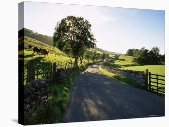 Countryside in Langstrothdale, Yorkshire Dales National Park, Yorkshire, England, United Kingdom-Patrick Dieudonne-Stretched Canvas