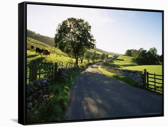 Countryside in Langstrothdale, Yorkshire Dales National Park, Yorkshire, England, United Kingdom-Patrick Dieudonne-Framed Stretched Canvas