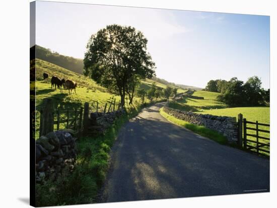 Countryside in Langstrothdale, Yorkshire Dales National Park, Yorkshire, England, United Kingdom-Patrick Dieudonne-Stretched Canvas