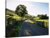 Countryside in Langstrothdale, Yorkshire Dales National Park, Yorkshire, England, United Kingdom-Patrick Dieudonne-Stretched Canvas