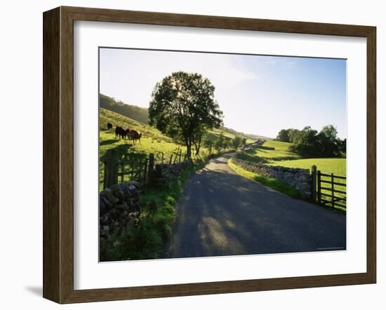 Countryside in Langstrothdale, Yorkshire Dales National Park, Yorkshire, England, United Kingdom-Patrick Dieudonne-Framed Photographic Print