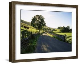 Countryside in Langstrothdale, Yorkshire Dales National Park, Yorkshire, England, United Kingdom-Patrick Dieudonne-Framed Photographic Print