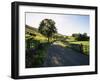 Countryside in Langstrothdale, Yorkshire Dales National Park, Yorkshire, England, United Kingdom-Patrick Dieudonne-Framed Photographic Print