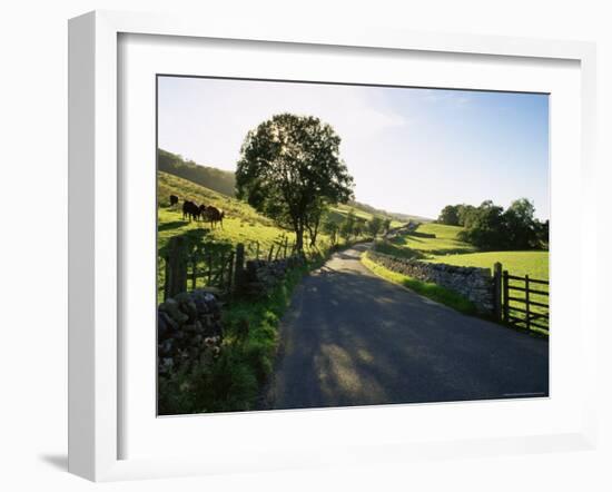 Countryside in Langstrothdale, Yorkshire Dales National Park, Yorkshire, England, United Kingdom-Patrick Dieudonne-Framed Photographic Print