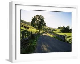 Countryside in Langstrothdale, Yorkshire Dales National Park, Yorkshire, England, United Kingdom-Patrick Dieudonne-Framed Photographic Print