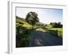 Countryside in Langstrothdale, Yorkshire Dales National Park, Yorkshire, England, United Kingdom-Patrick Dieudonne-Framed Photographic Print