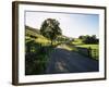 Countryside in Langstrothdale, Yorkshire Dales National Park, Yorkshire, England, United Kingdom-Patrick Dieudonne-Framed Photographic Print