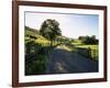 Countryside in Langstrothdale, Yorkshire Dales National Park, Yorkshire, England, United Kingdom-Patrick Dieudonne-Framed Photographic Print